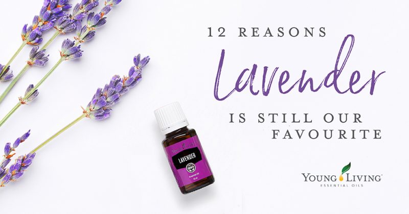 12-reasons-we-love-lavender-essential-oil-young-living-essential-oils