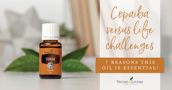 Copaiba: 7 Reasons This Oil Is Essential! - Young Living Australia