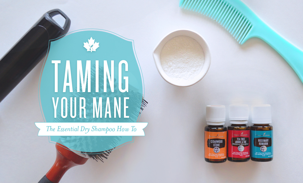 The Essential Dry Shampoo How To | Living Canada Blog