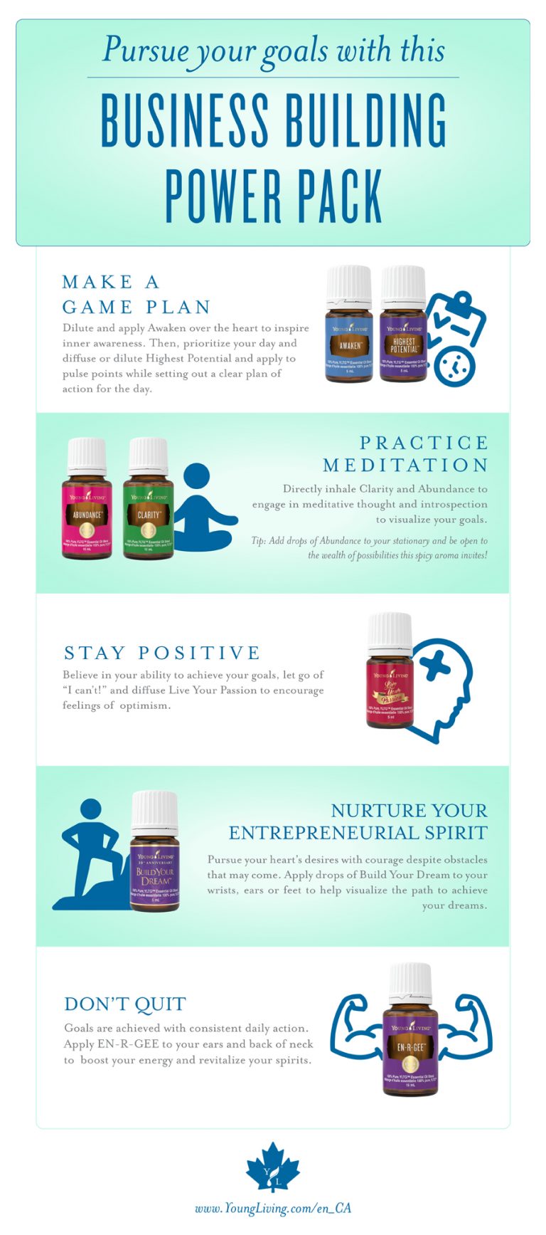 young living business plan