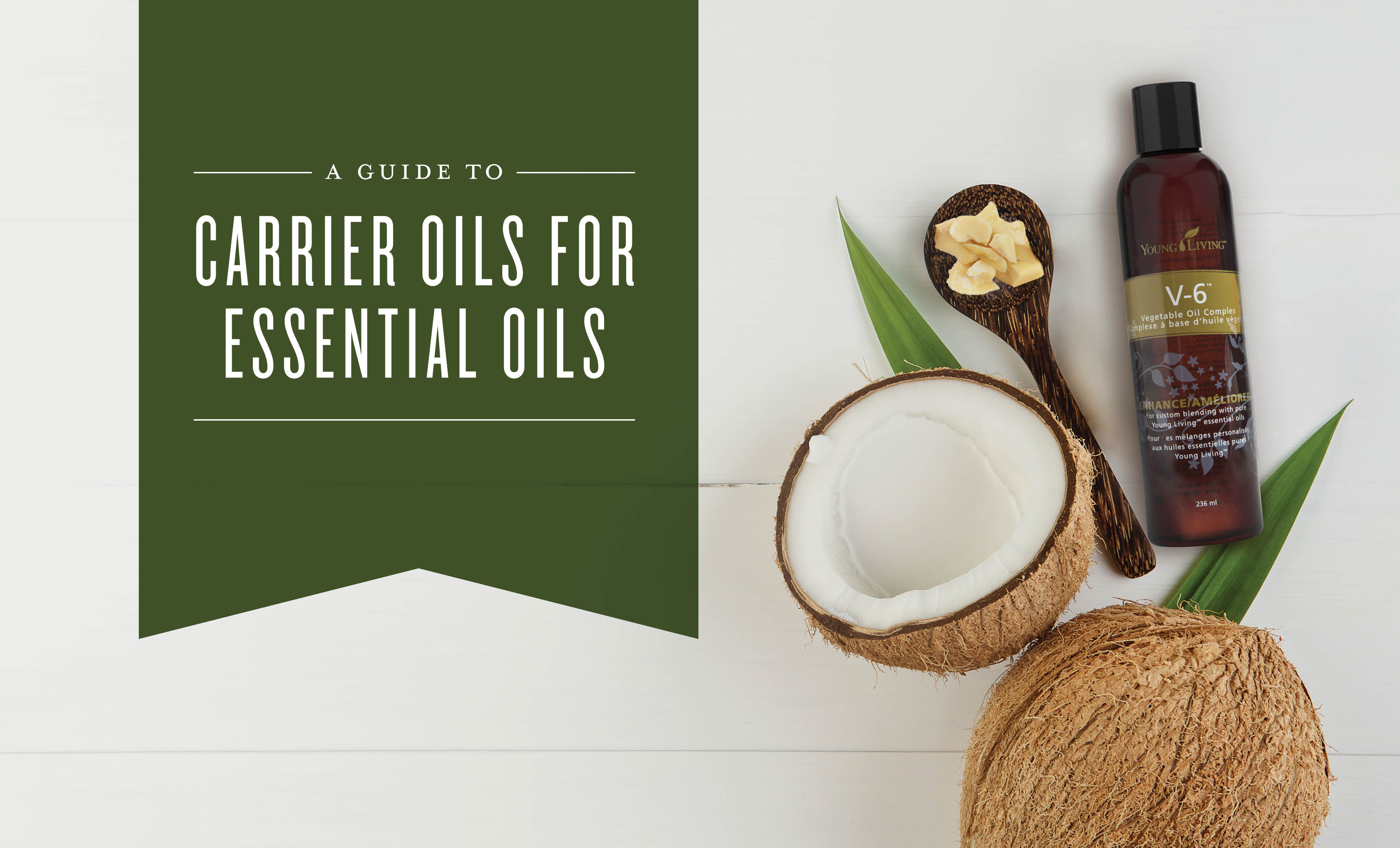 A Perfect Guide To Carrier Oils Young Living Canada Blog