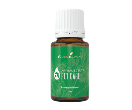 Essential oils for dogs: Pawsome tips for your furry friend - Young ...