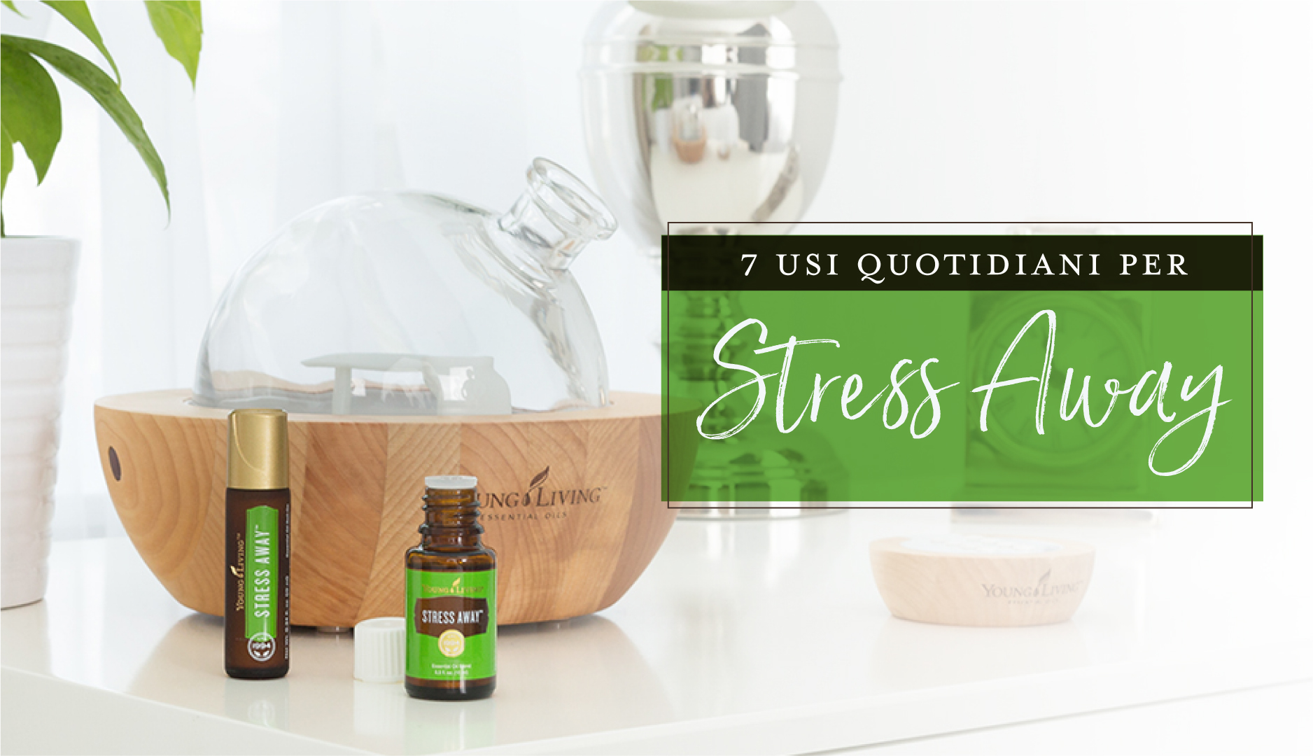 Stress away. Young Living. Stress away young Living. Диффузор young Living. Stress away young Living фото.