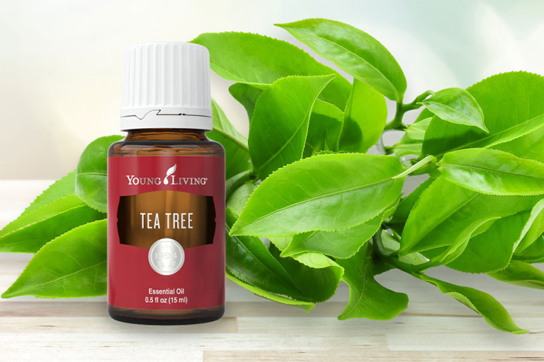 14 conseils pour utiliser l'huile Tea Tree dans votre vie- Blog Young Living