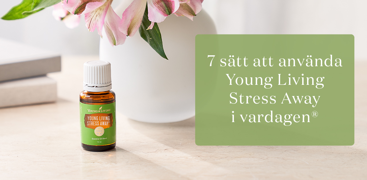 Lifting the Veil on Vetiver Oil: Origins and uses - Young Living Blog EU