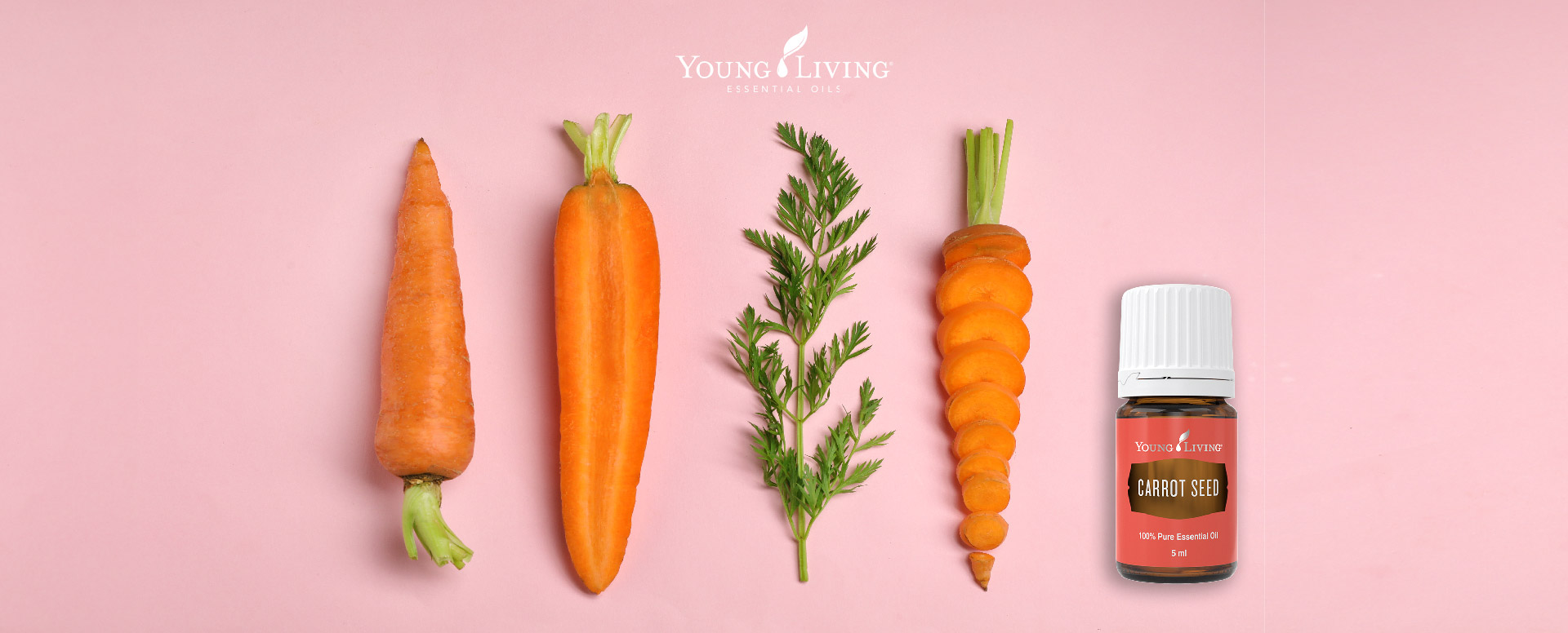 What You Should Know About Carrot Seed Essential Oil - Young