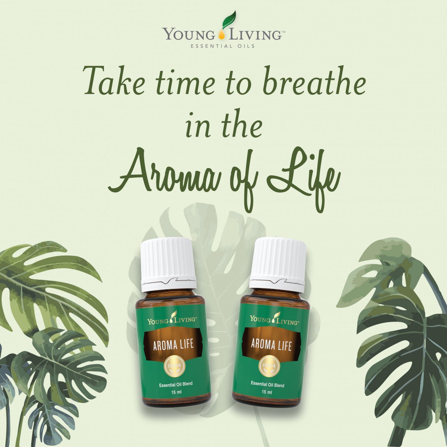 all-about-aroma-life-essential-oil-young-living-blog