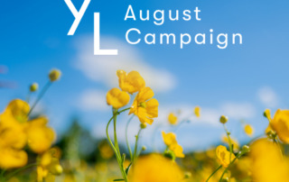 8月1日（木）〜25日（日）YLおトク便限定キャンペーン｜夏の元気を応援する3製品をセレクト