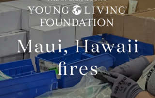 ハワイ・マウイ島の山火事に対する支援活動について