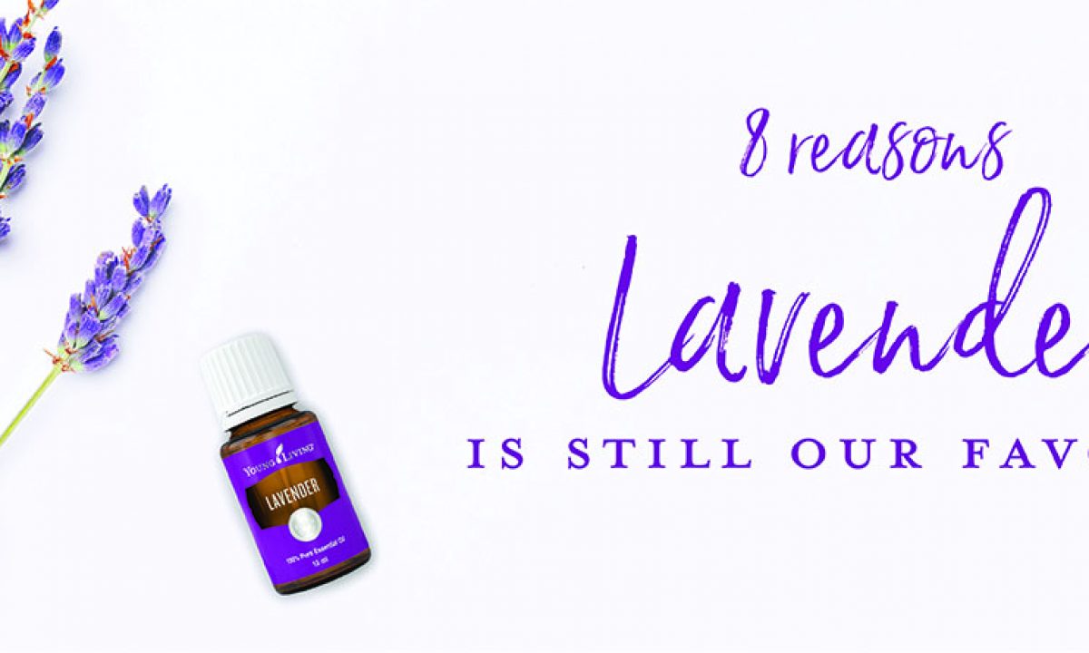 8 Reasons Lavender Essential Oil is Still Our Favorite - Young 