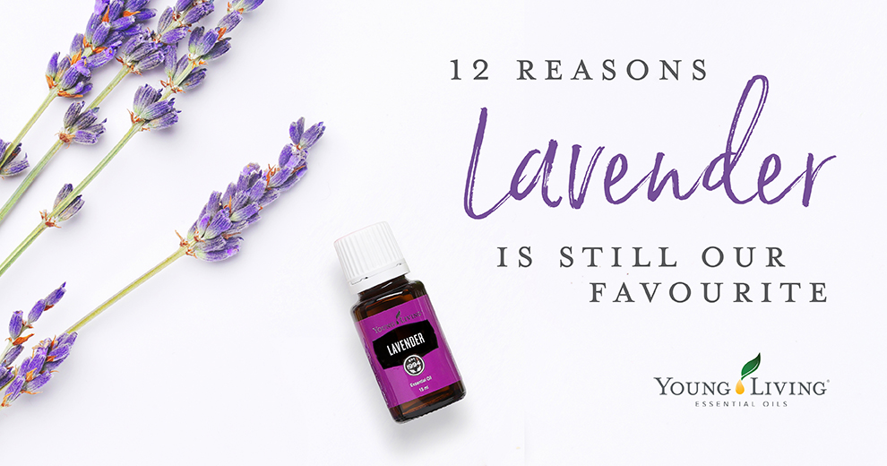 12 Reasons We Love Lavender Essential Oil Young Living Essential Oils