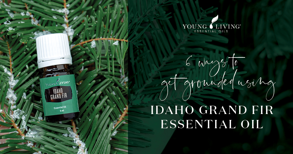 Young Living New Zealand