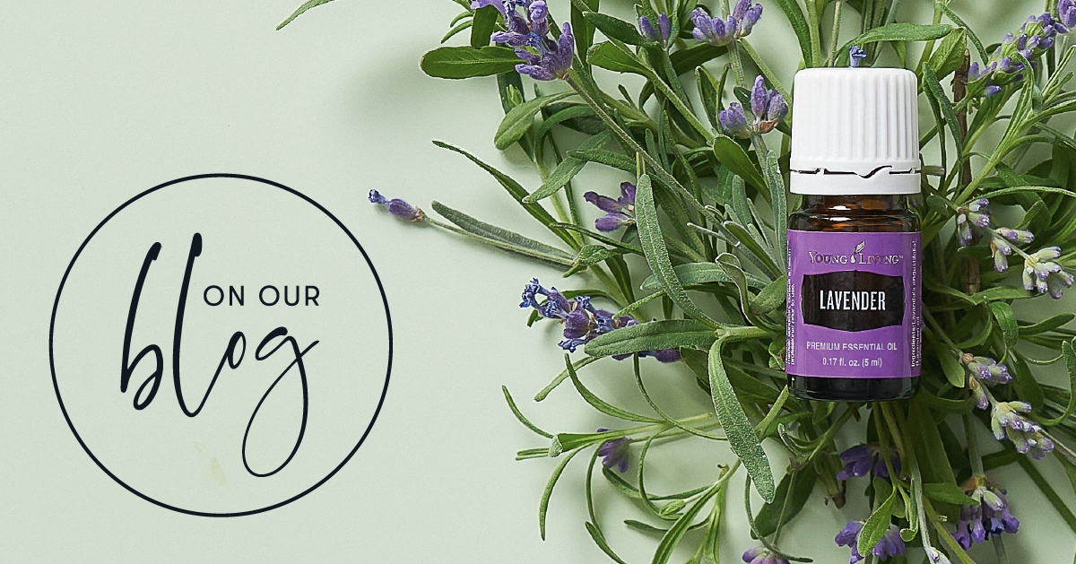 How to use Lavender Essential oil Young Living Blog