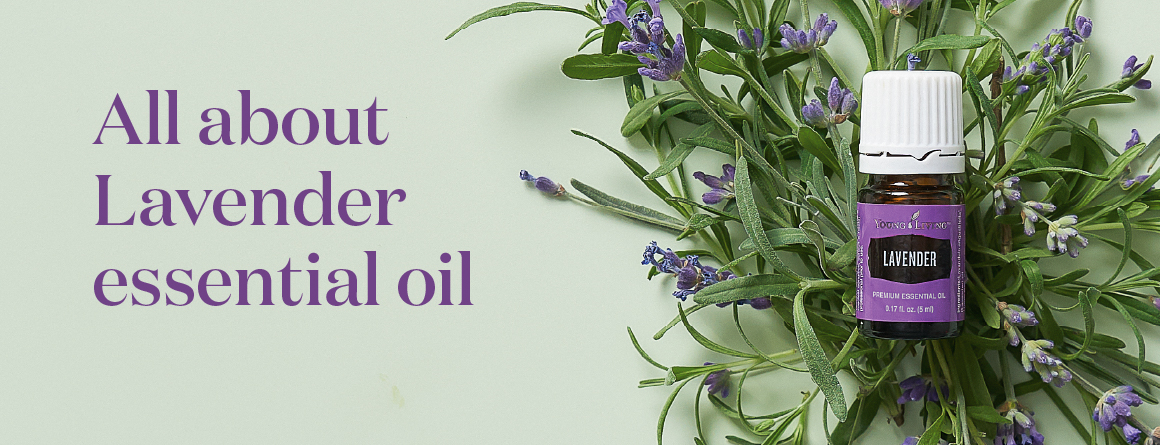 How to use Lavender Essential oil