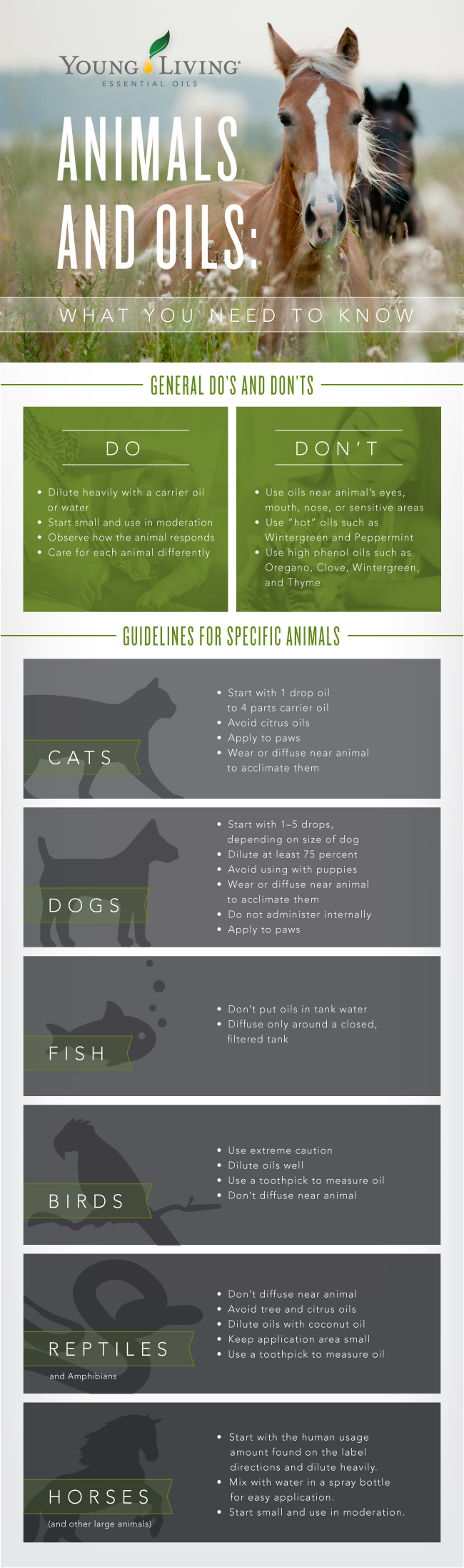 are essential oil diffusers safe for dogs and cats