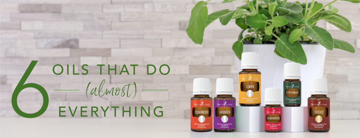 Young Living Essential Oils By Karen