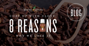 Clove essential oil and eight ways to utilize the benefits of clove this holiday season.