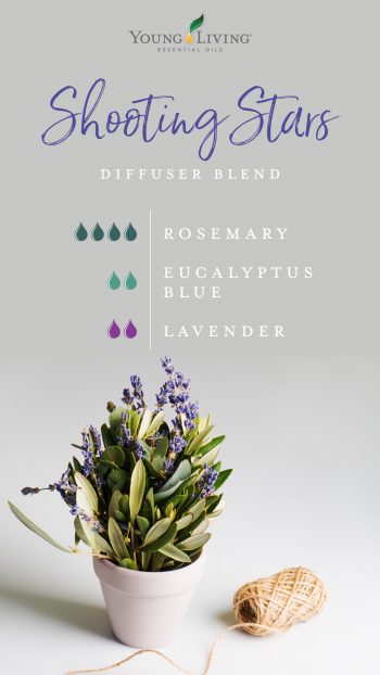 Eucalyptus Essential Oil Facts| Young Living Essential Oils