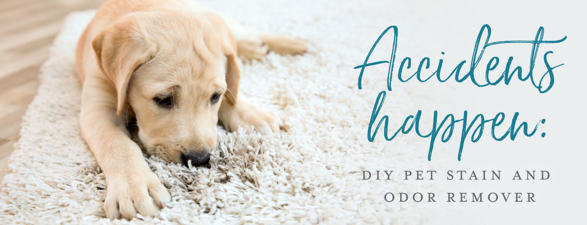 DIY Pet Stain \u0026 Odor Remover | Young 