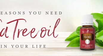 Our Favorite Floral Essential Oils