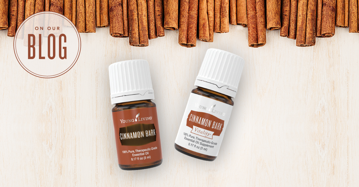Cinnamon Bark Essential Oil, Buy Now