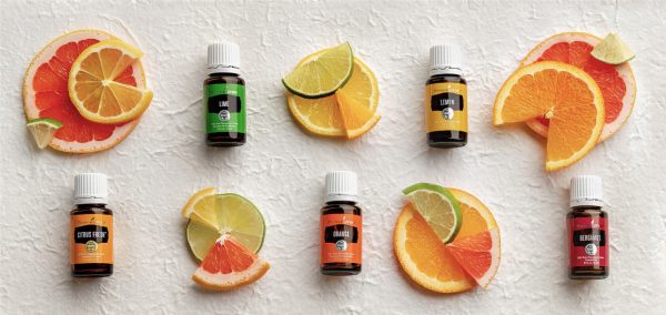 Essential oil diffuser recipes—for every mood | Young Living Blog - US ...