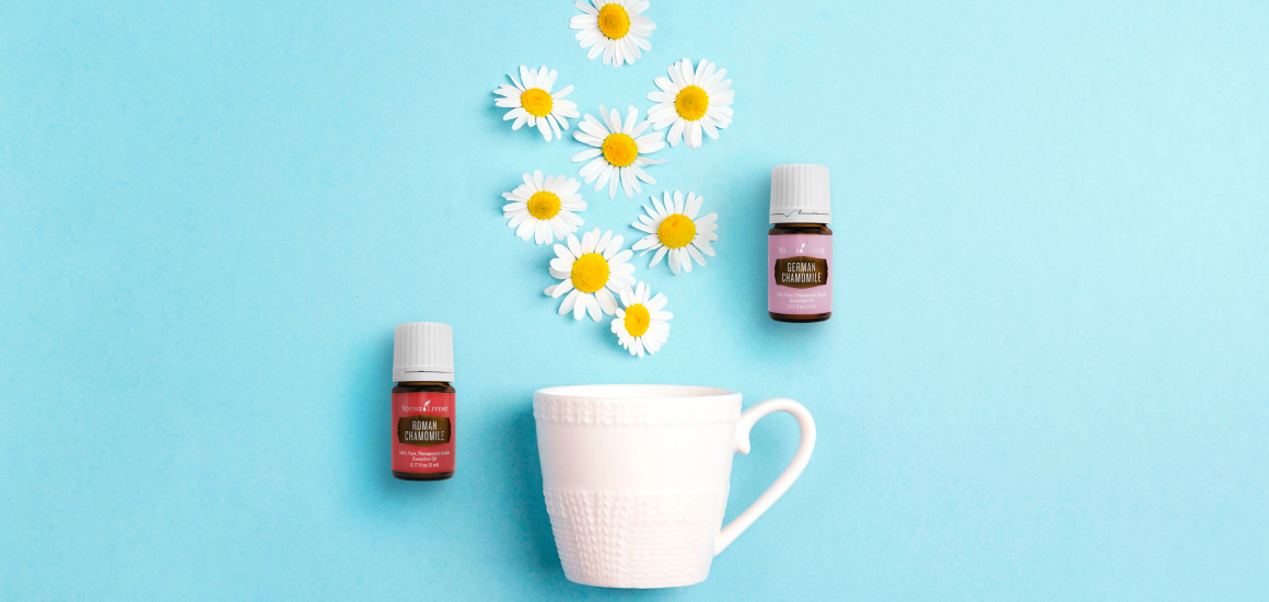 Chamomile Essential Oil