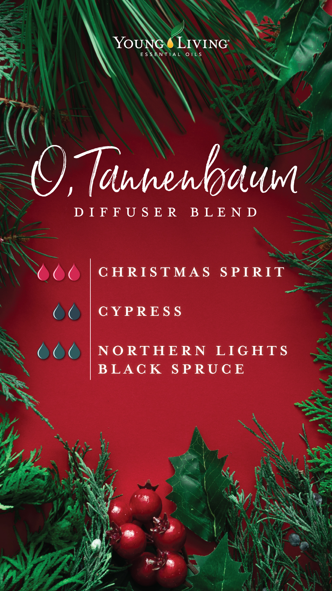 Christmas Diffuser Blends  Young Living Essential Oils