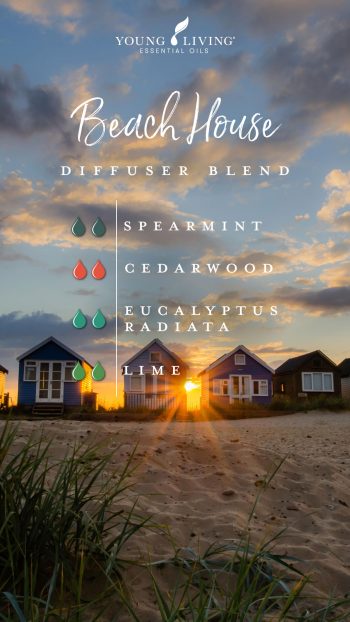 beach house diffuser blend: 2 drops spearmint, 2 drops Cedarwood, 2 drops Eucalyptus Radiata, 2 drops Lime
