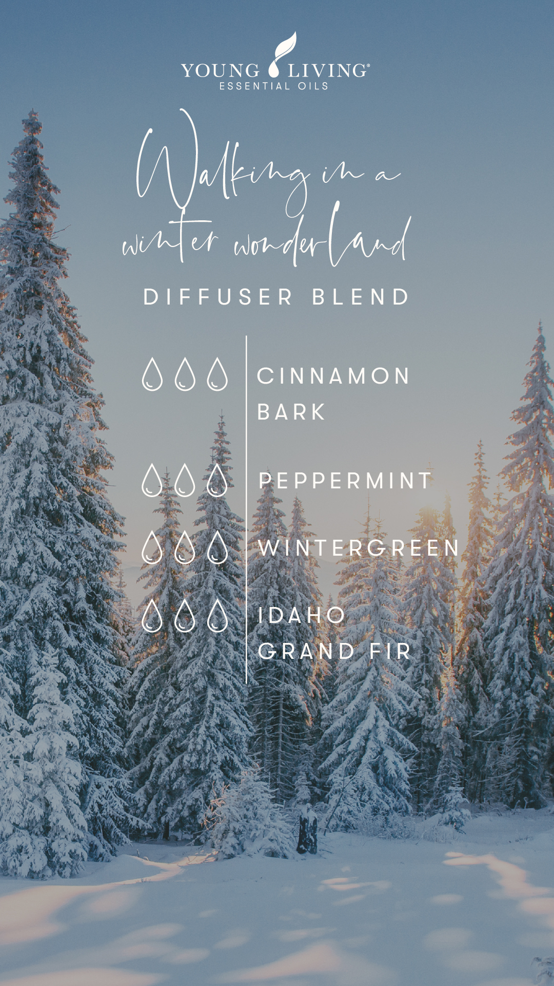 Essential Oil Diffuser Blends for Winter - Today's Creative Life
