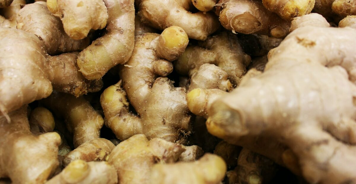 Ginger essential oil: The spice of life | Young Living Blog