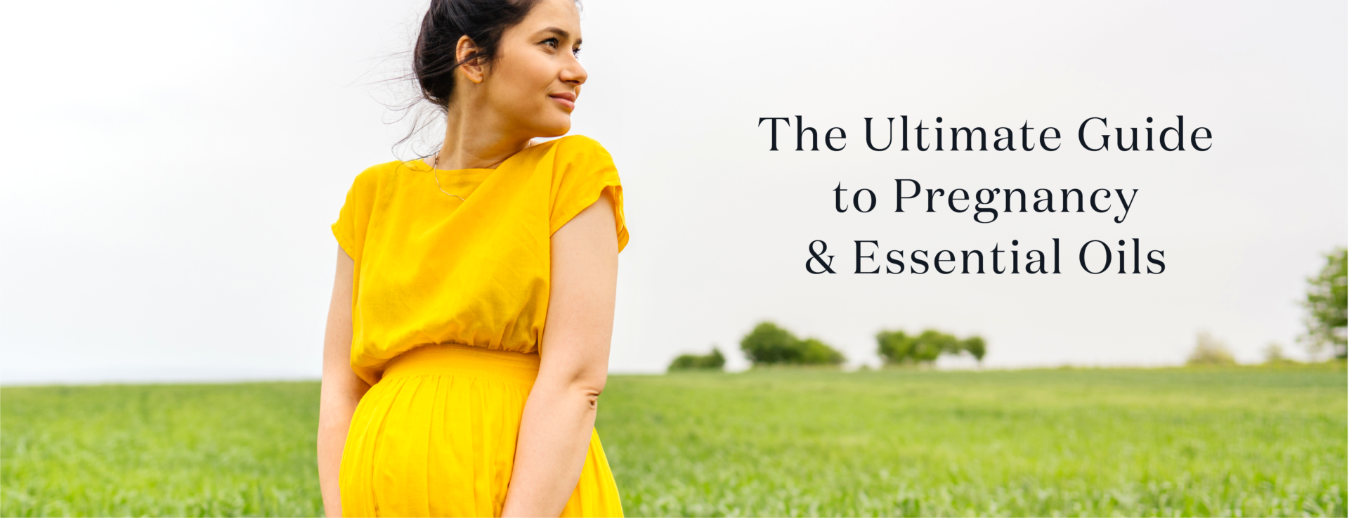 The Ultimate Guide To Pregnancy And Essential Oils Laptrinhx News