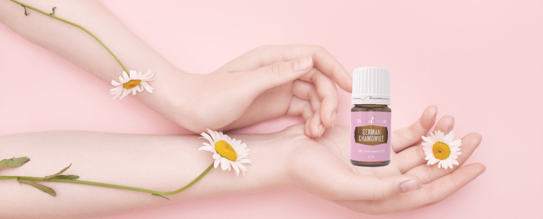 Hands decorated with white petal of flowers holding a German Chamomile Essential Oil in a bottle